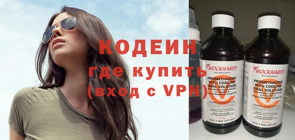 хмурый Верея