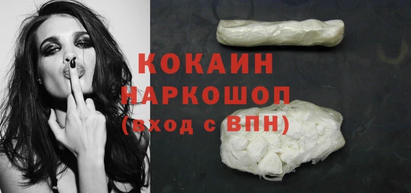 хмурый Верея