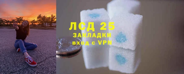 хмурый Верея