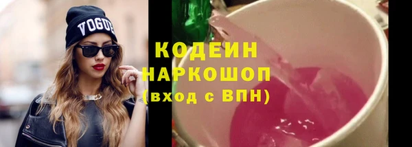 хмурый Верея