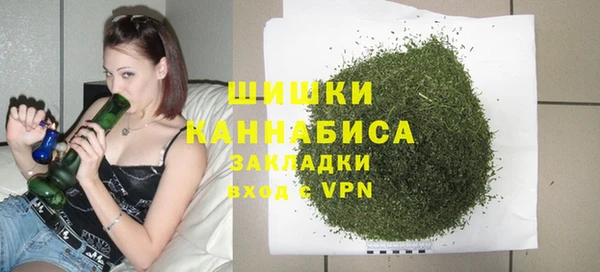 гашиш Богданович