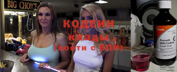 хмурый Верея