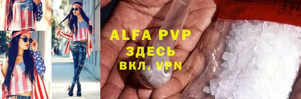 хмурый Верея