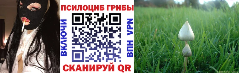 Галлюциногенные грибы Magic Shrooms  наркотики  Воркута 